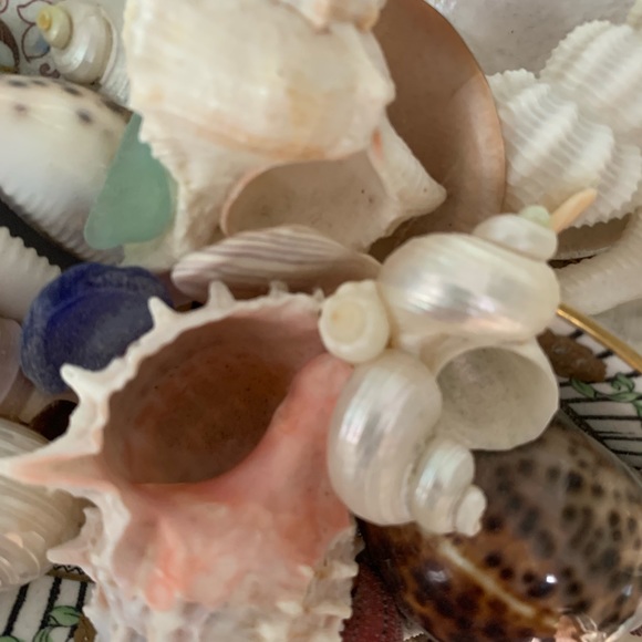 Seashell wooden box with shells and china encrusted on wooden decorative… - Picture 9 of 16
